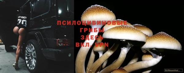 не бодяженный Абдулино